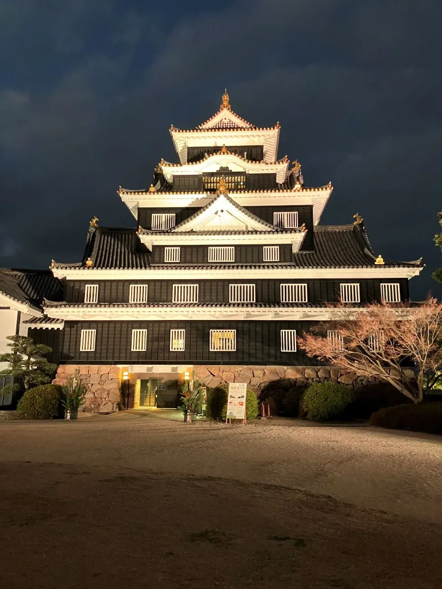 岡山城(夜)